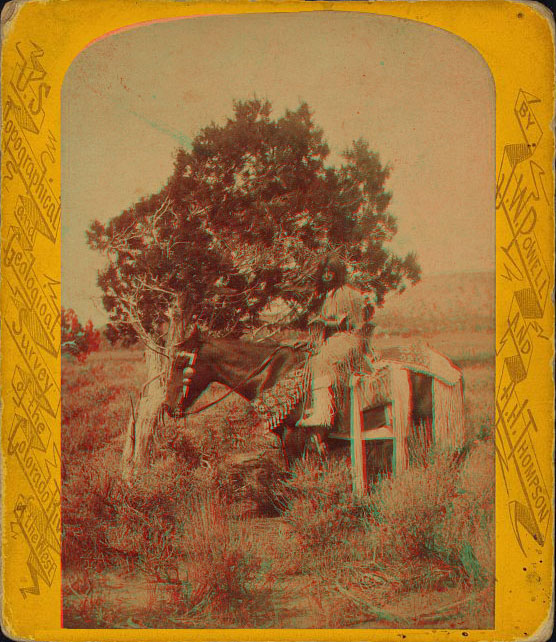 A young woman in full dress sitting on a horse next to a juniper tree