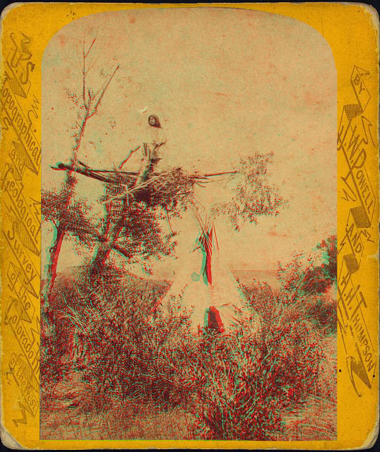 A person standing in a tree-top nest-like perch with a teepee in the background