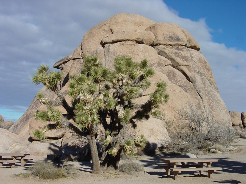 Quail Springs Picnic Area