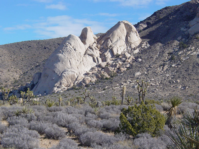 Igneous plutons on Ryan Mountain