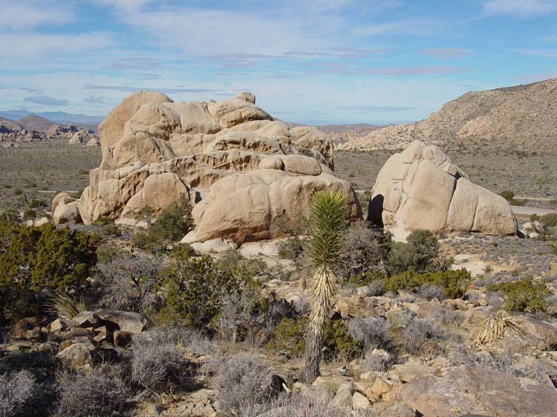 Boulder pile and granite cliffs on Ryan Mountain