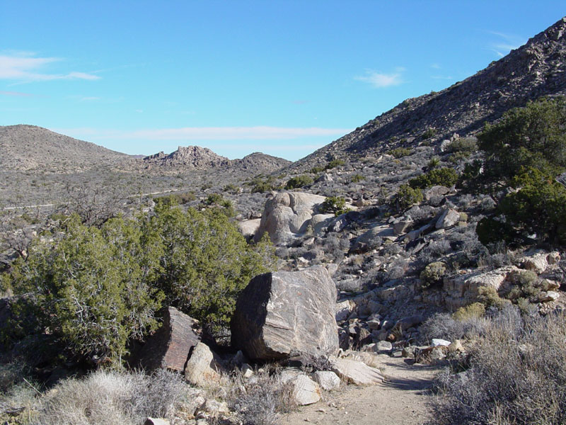 Gneiss boulders along the Ryan Mountain Trail