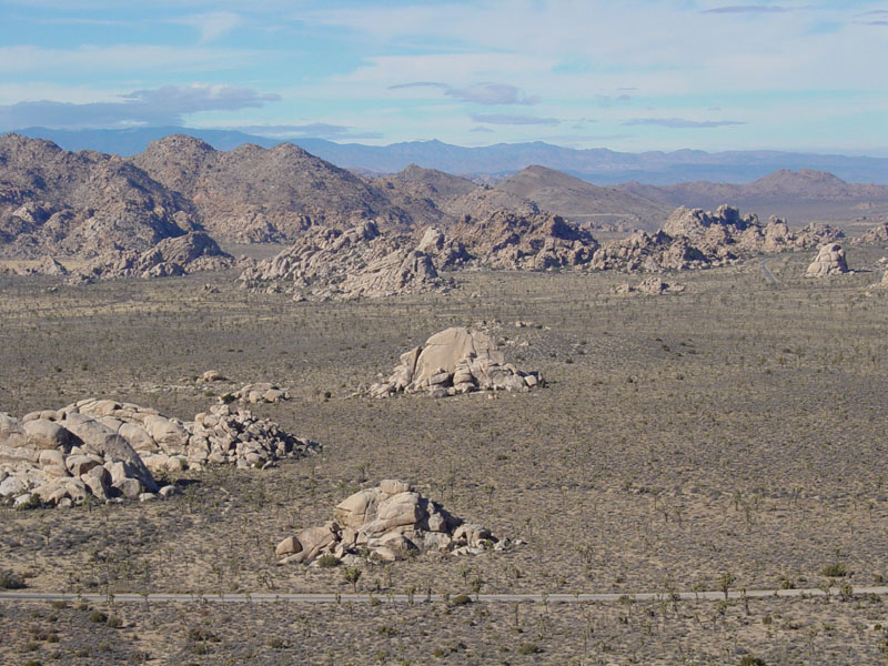 Lost Horse Valley in Joshua Tree National Park