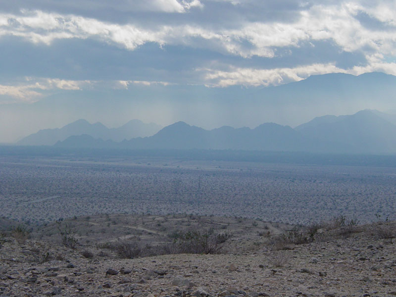 Coachella Valley Preserve