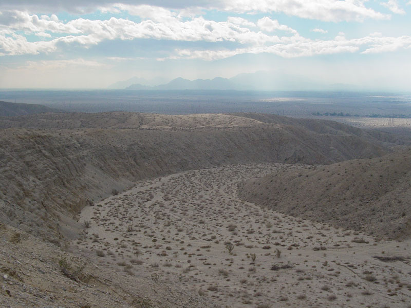 Coachella Valley Preserve