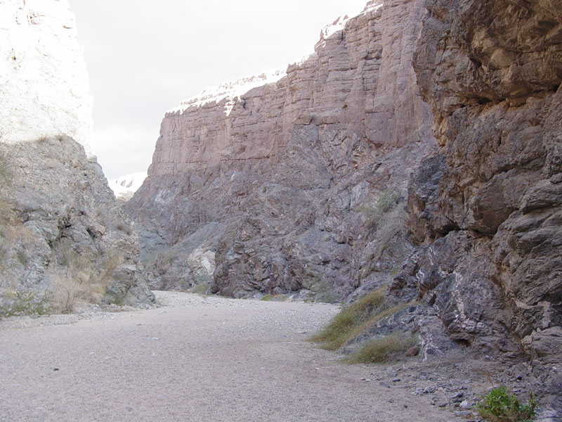 A nonconformity between Precambrian Orocopa Gneiss and Miocene sedimentary rocks in upper Painted Canyon