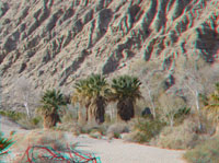 Thousand Palms Canyon