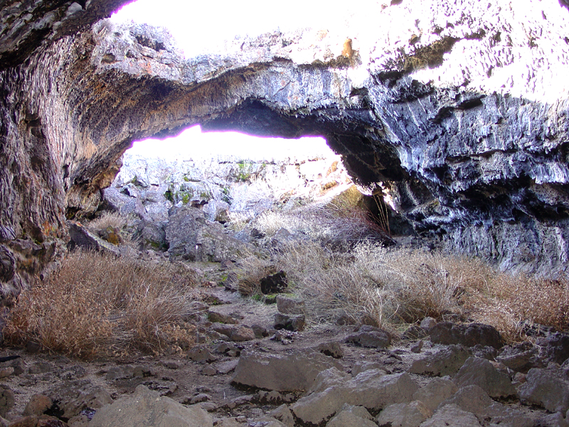 Garden Bridges