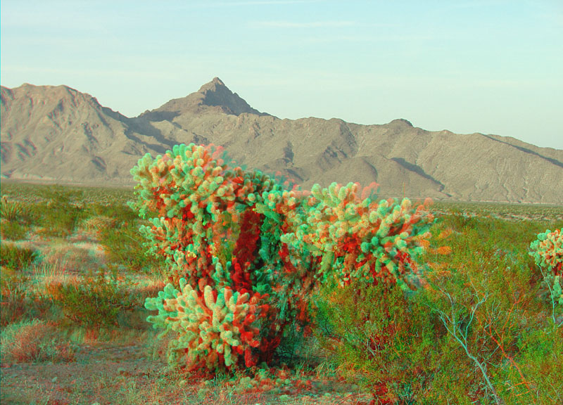 Lake Mead National Recreation Area