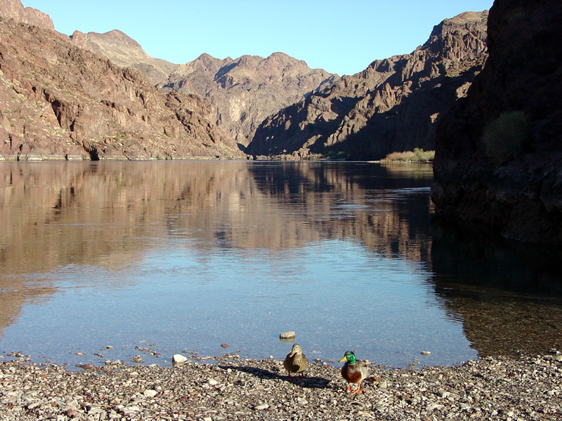 Lake Mead National Recreation Area