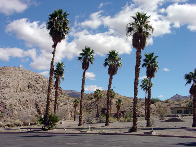 Lake Mead National Recreation Area