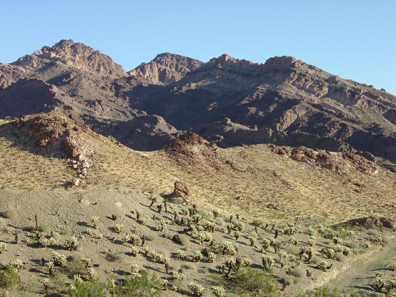 Lake Mead National Recreation Area