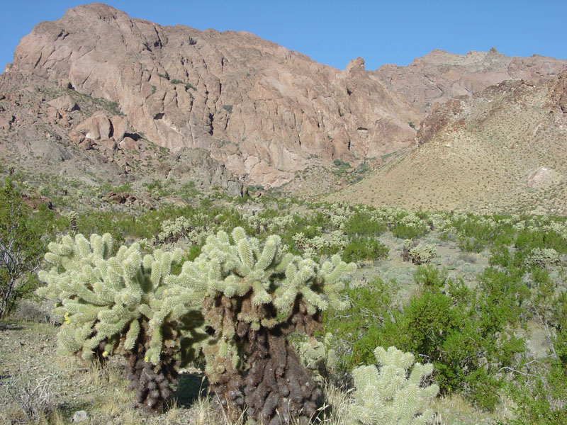 Lake Mead National Recreation Area