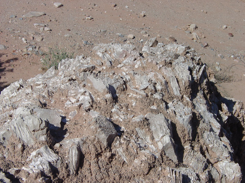 Lake Mead National Recreation Area