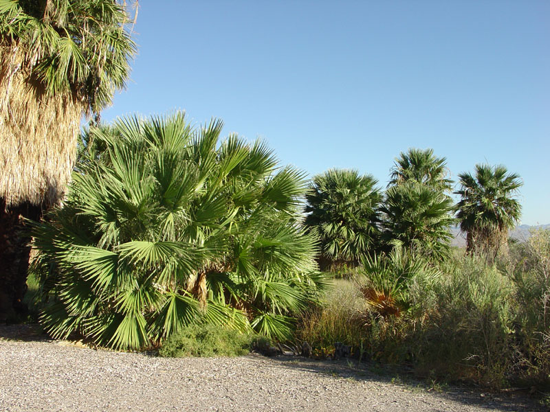 Lake Mead National Recreation Area