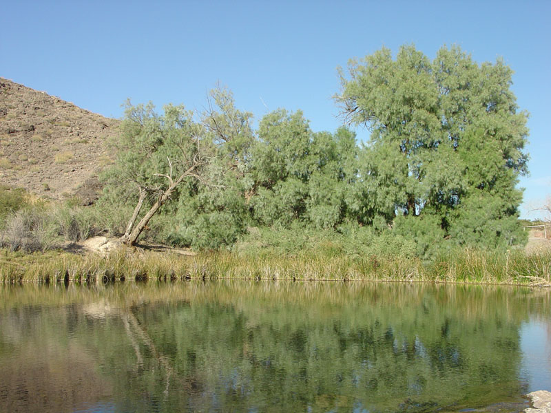 Lake Mead National Recreation Area