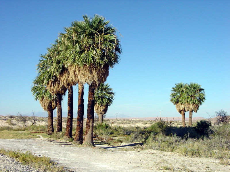 Lake Mead National Recreation Area