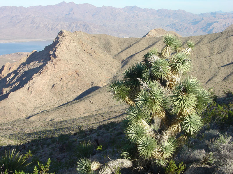 Lake Mead National Recreation Area