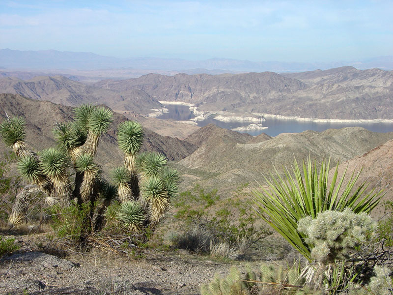 Lake Mead National Recreation Area