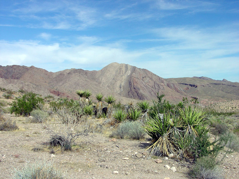 Lake Mead National Recreation Area