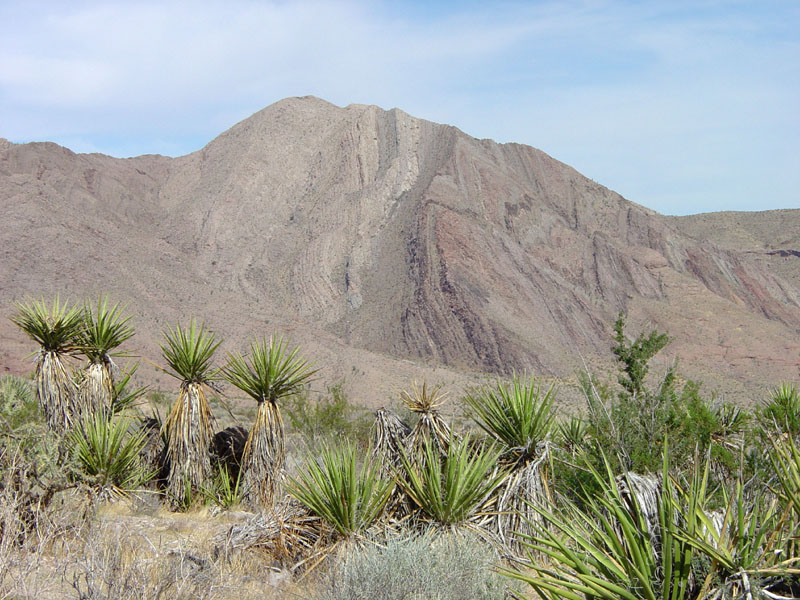 Lake Mead National Recreation Area