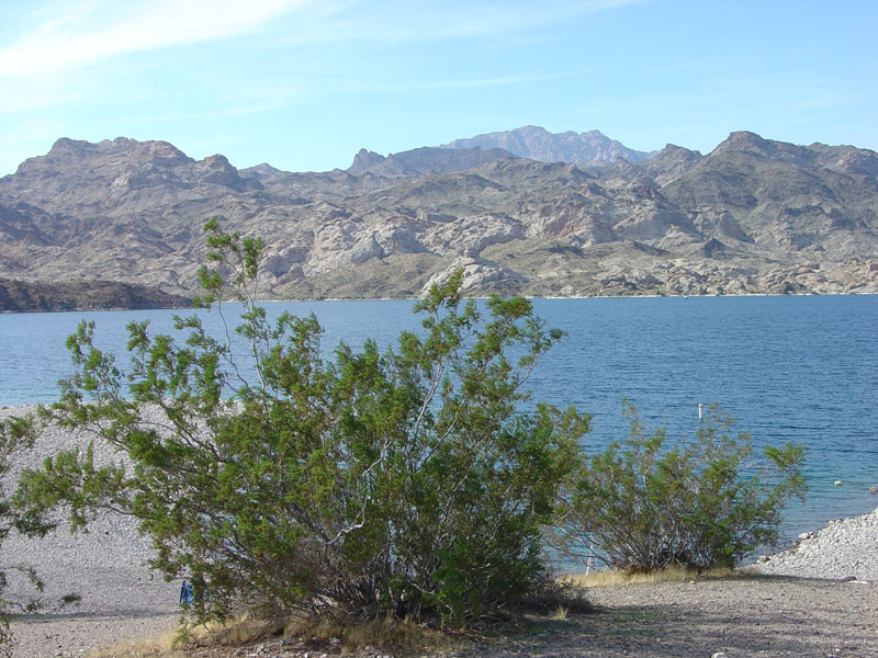 Lake Mead National Recreation Area