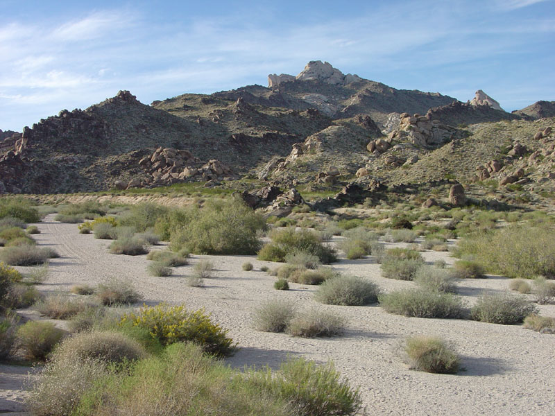 Lake Mead National Recreation Area