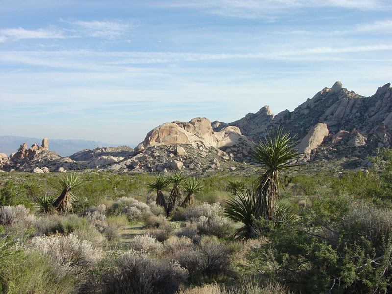 Lake Mead National Recreation Area