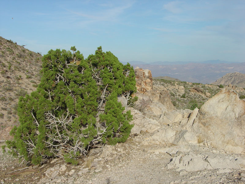 Lake Mead National Recreation Area