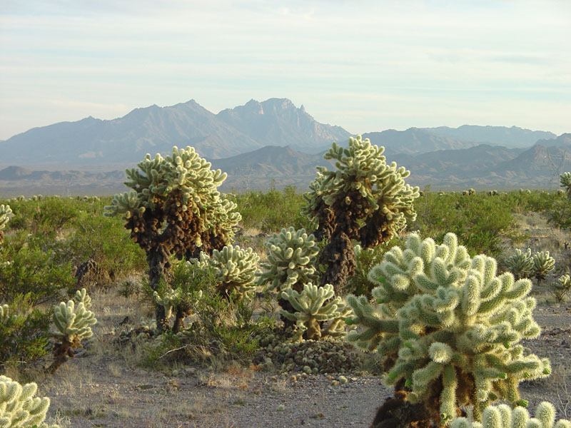 Lake Mead National Recreation Area