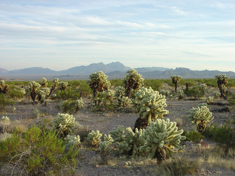 Lake Mead National Recreation Area