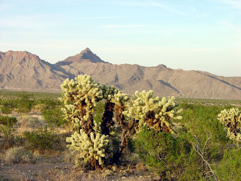 Lake Mead National Recreation Area