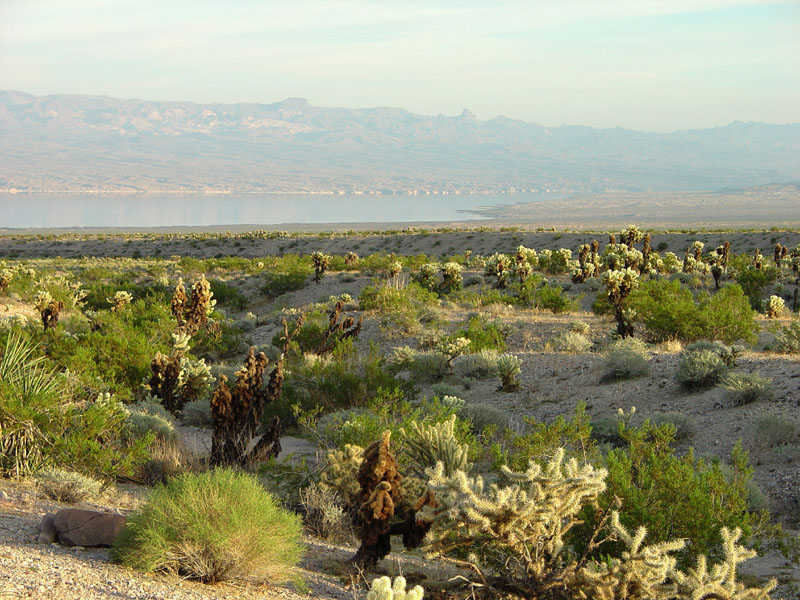 Lake Mead National Recreation Area