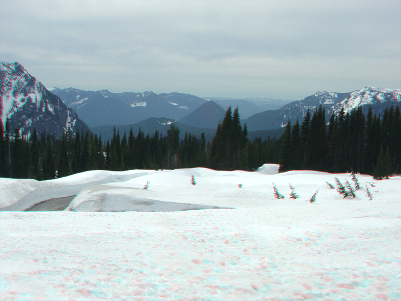 Paradise River Valley