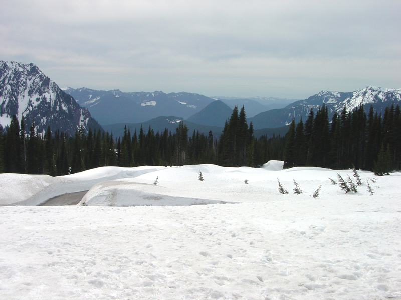 Paradise River Valley