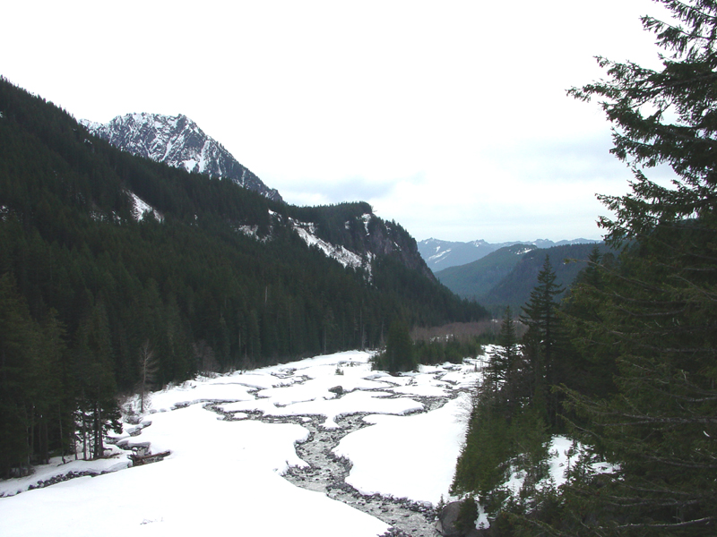 Nisqually River Valley