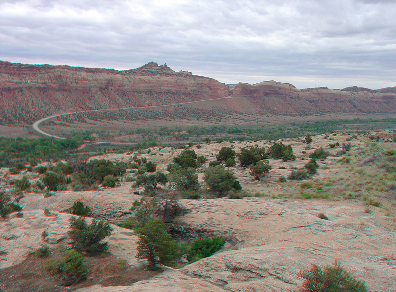 Natural Bridges National Monument