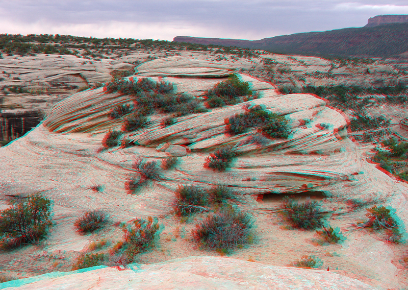 Natural Bridges National Monument