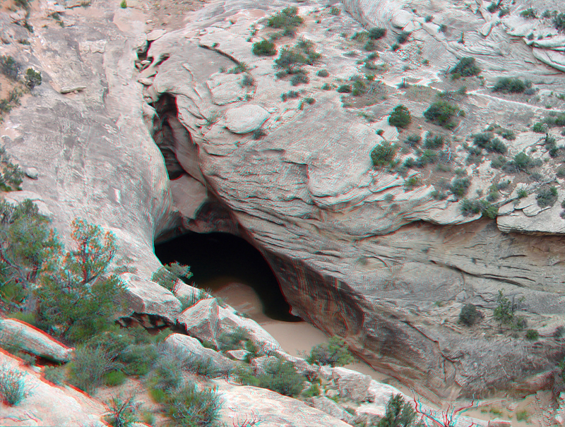 Natural Bridges National Monument