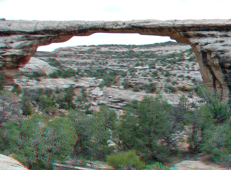 Natural Bridges National Monument