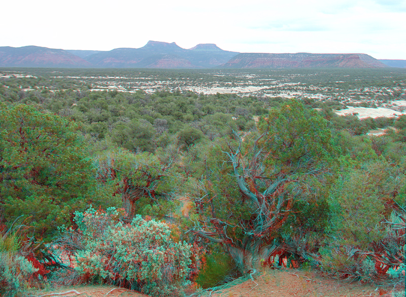 Natural Bridges National Monument