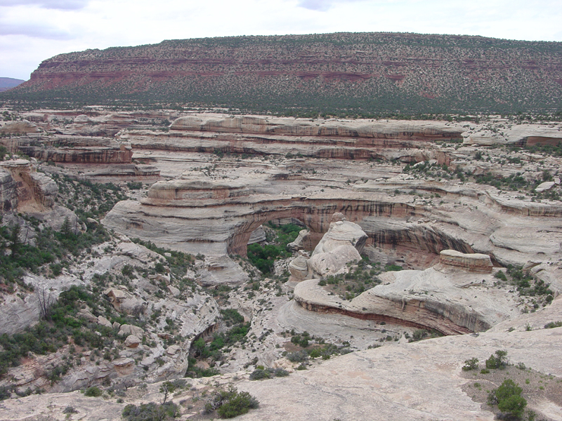 Natural Bridges National Monument