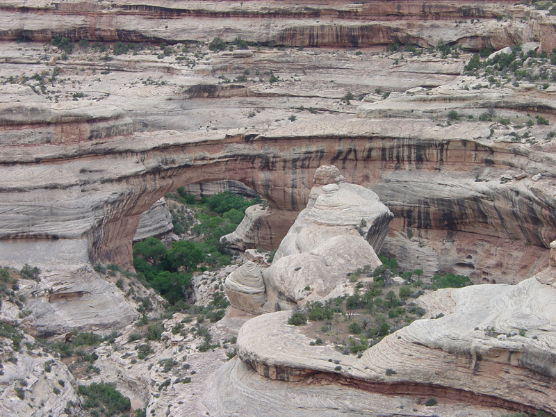 Natural Bridges National Monument