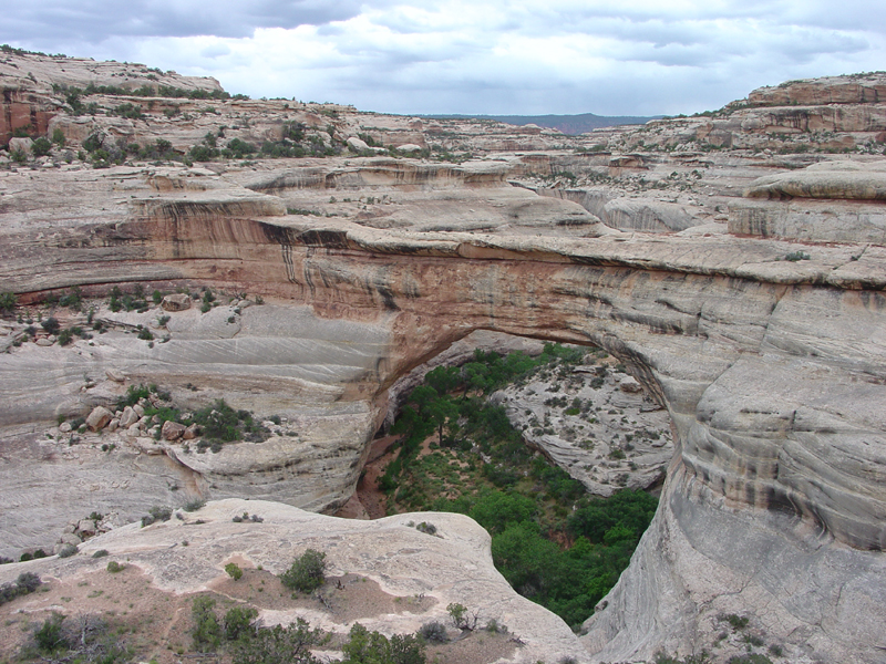 Natural Bridges National Monument