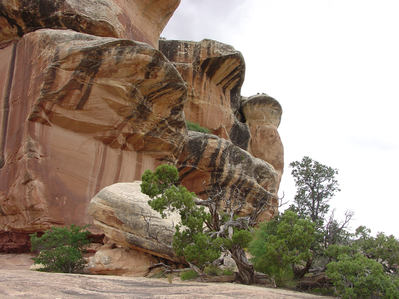 Natural Bridges National Monument