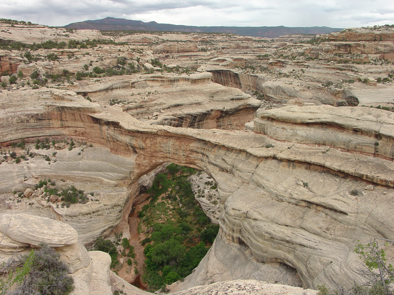 Natural Bridges National Monument