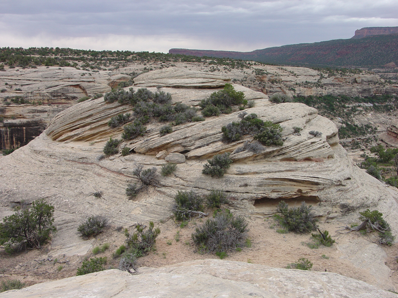 Natural Bridges National Monument