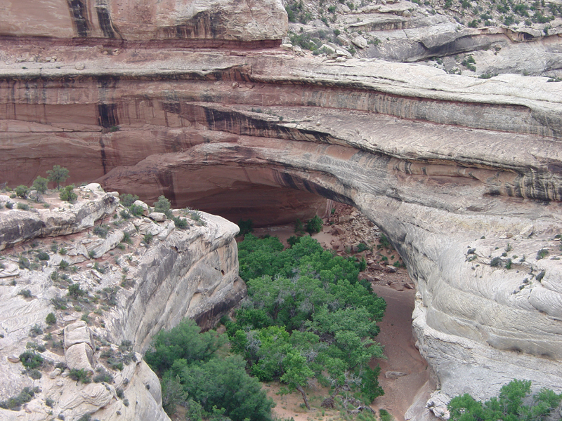 Natural Bridges National Monument