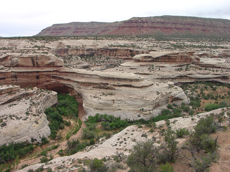 Natural Bridges National Monument