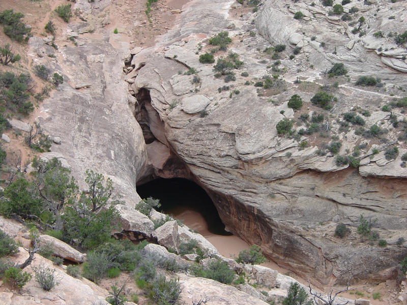 Natural Bridges National Monument